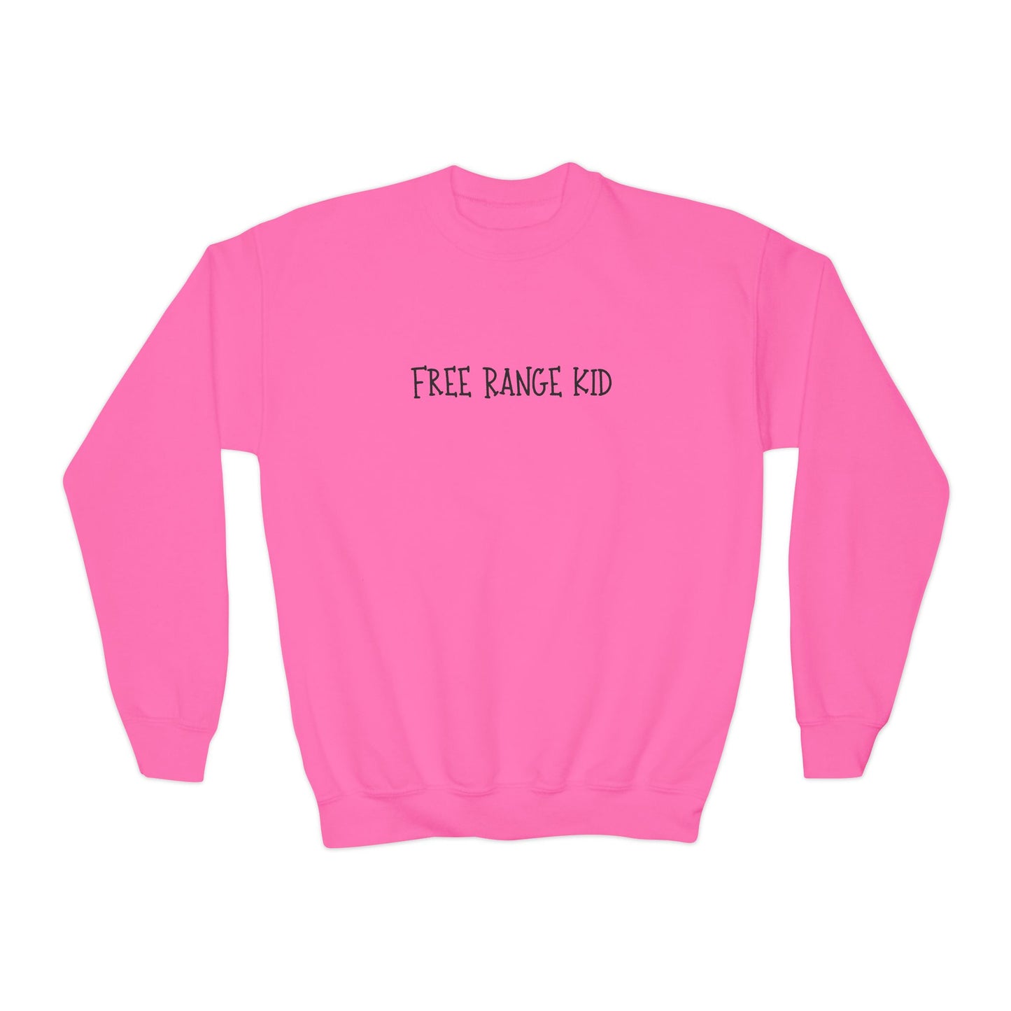 Youth Sweatshirt- Free Range Kid